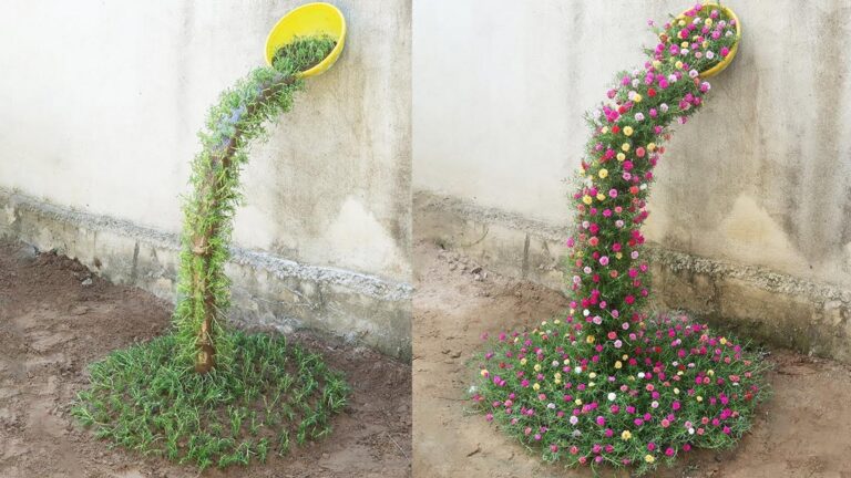 Questo semplice gesto trasforma il tuo giardino in una cascata di colori…