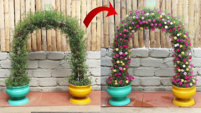 Questo semplice gesto trasforma bottiglie di plastica in un meraviglioso giardino fiorito…