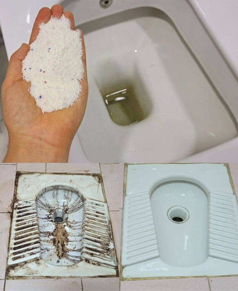 WC sempre bianco e brillante: il metodo naturale che ha sostituito i detergenti chimici