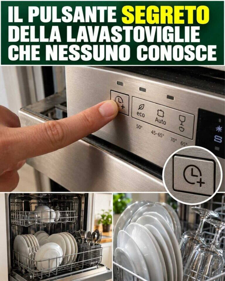 Il pulsante nascosto della lavastoviglie che quasi NESSUNO conosce