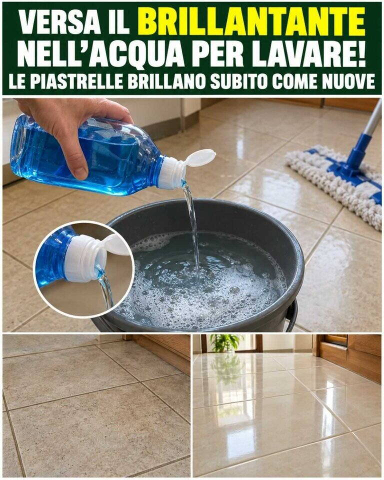 Versa il brillantante nell’acqua di lavaggio — le piastrelle tornano subito più brillanti