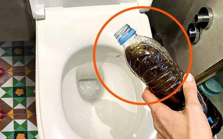 Fondi di caffè nel WC: il trucco che promette di risolvere un grande problema in bagno!