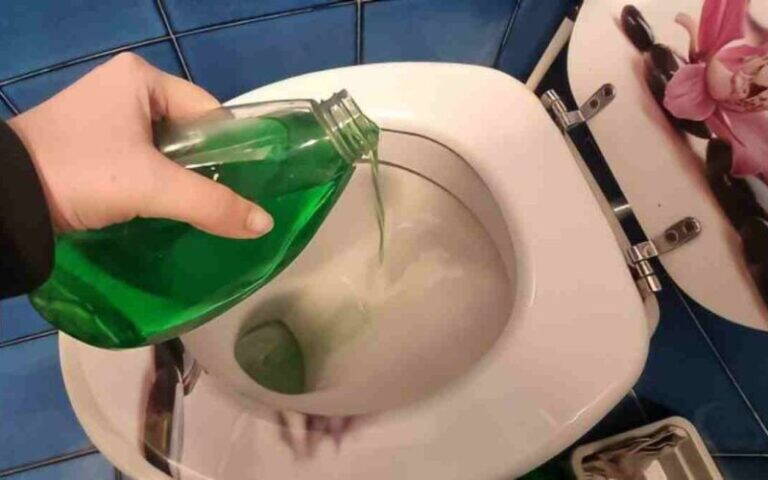 WC fresco e impeccabile per una settimana: lo usano anche le addette alle pulizie!